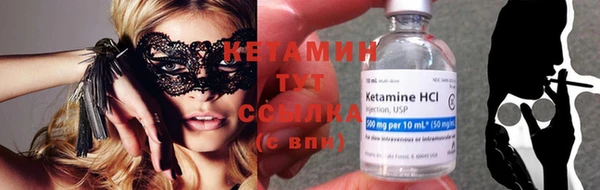 прущие грибы Дмитров