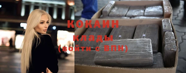 прущие грибы Дмитров