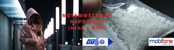 прущие грибы Дмитров