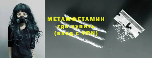 прущие грибы Дмитров