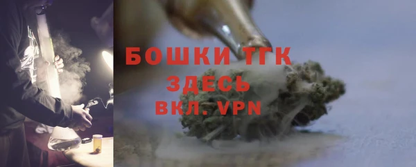 прущие грибы Дмитров