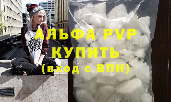 шишки Приозерск