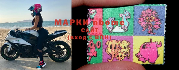 прущие грибы Дмитров