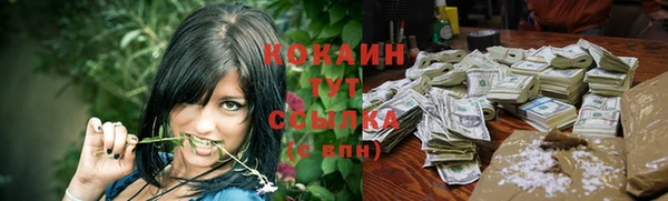 прущие крисы Дмитриев