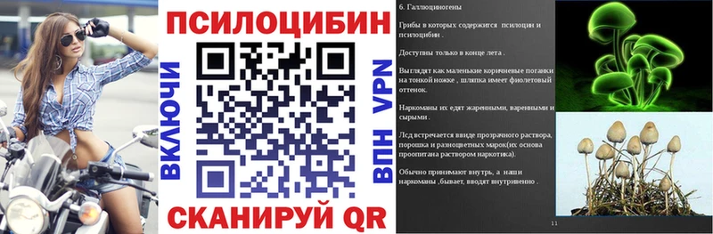 Псилоцибиновые грибы GOLDEN TEACHER  Купить закладки  Мыски 